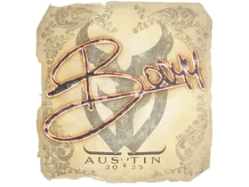 Austin 2025bodyy