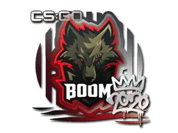 2020 RMRBoom