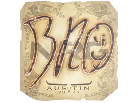 Austin 2025br0