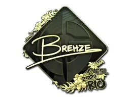 Rio 2022Brehze (Gold)