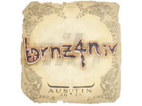 Austin 2025brnz4n