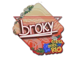 Rio 2022broky