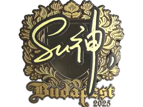Budapest 2025C4LLM3SU3 (Gold)