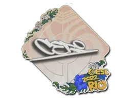 Rio 2022CeRq