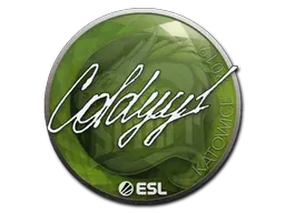 Katowice 2019COLDYY1