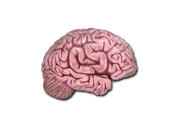 StickerCS On The Mind