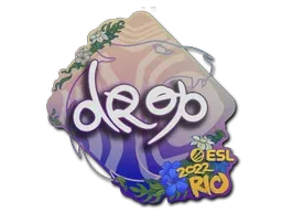 PaperRio 2022