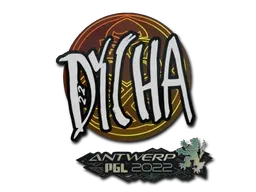 Antwerp 2022dycha