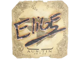 Austin 2025EliGE