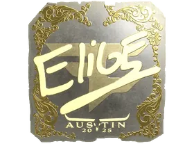 Austin 2025EliGE (Gold)
