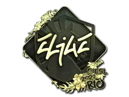 Rio 2022EliGE (Gold)