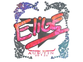 Austin 2025EliGE (Holo)