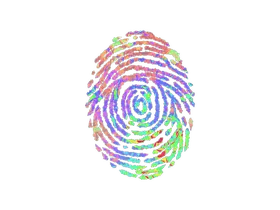 StickerEvidence (Holo)