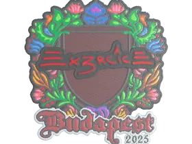 Budapest 2025Ex3rcice (Embroidered)