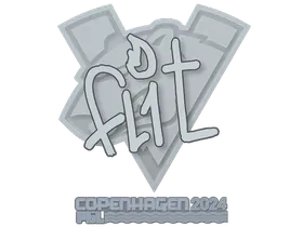 Copenhagen 2024FL1T