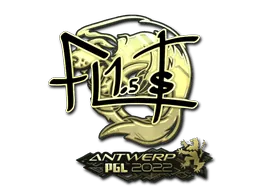 Antwerp 2022FL1T (Gold)