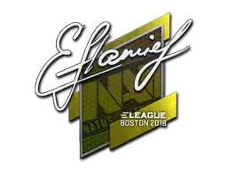 Boston 2018flamie