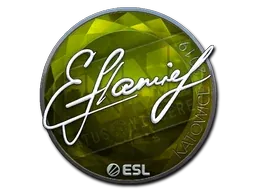 Katowice 2019flamie (Foil)