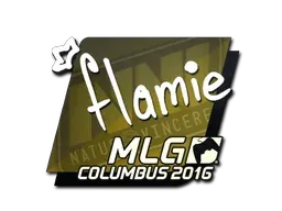 MLG Columbus 2016flamie
