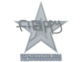 Copenhagen 2024floppy