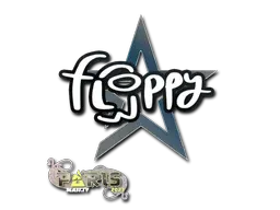 Paris 2023floppy