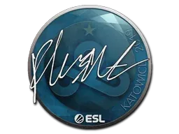 Katowice 2019flusha