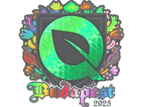 Budapest 2025FlyQuest (Holo)