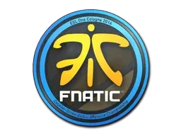 Cologne 2014Fnatic