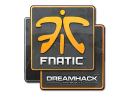 DreamHack 2014Fnatic