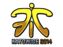 Katowice 2014Fnatic (Foil)