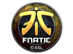Katowice 2019Fnatic (Foil)
