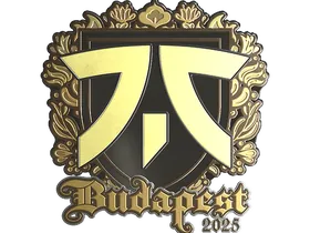 Budapest 2025fnatic (Gold)