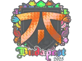 Budapest 2025fnatic (Holo)