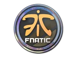 Cologne 2014Fnatic (Holo)