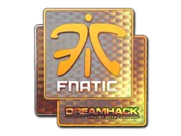 DreamHack 2014Fnatic (Holo)