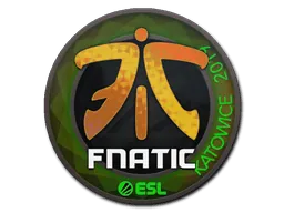 Katowice 2019Fnatic (Holo)