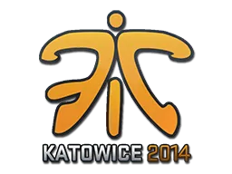 Katowice 2014Fnatic