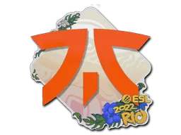 Rio 2022Fnatic