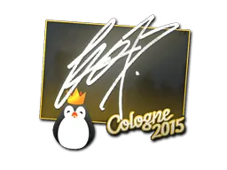 Cologne 2015fox