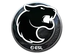Katowice 2019FURIA (Foil)