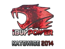 Katowice 2014iBUYPOWER (Holo)