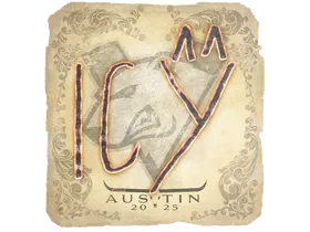 Austin 2025ICY