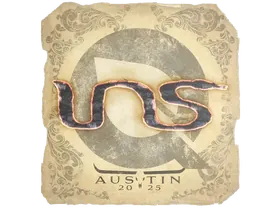 Austin 2025INS