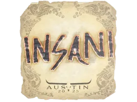 Austin 2025insani