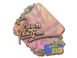 Rio 2022juanflatroo (Holo)
