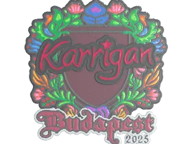 Budapest 2025karrigan (Embroidered)