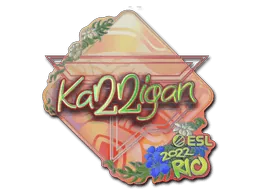 Rio 2022karrigan (Holo)