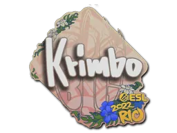 PaperRio 2022