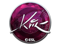Katowice 2019Kvik (Foil)