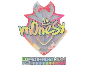 Copenhagen 2024m0NESY (Holo)